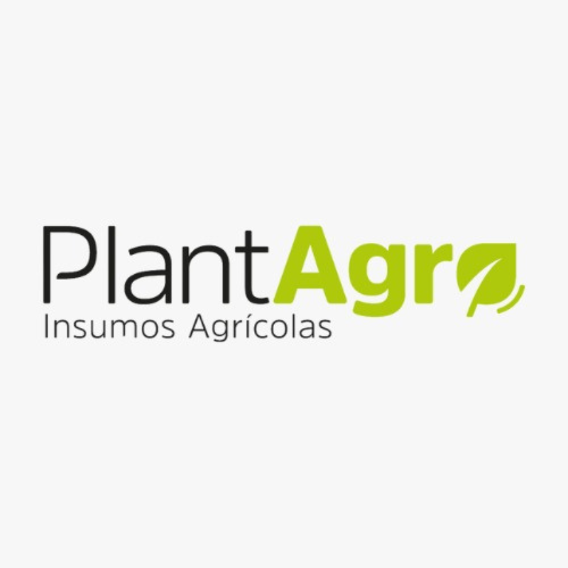 Design sem nome (67)